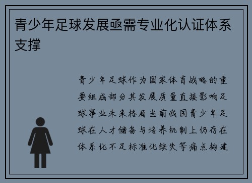 青少年足球发展亟需专业化认证体系支撑